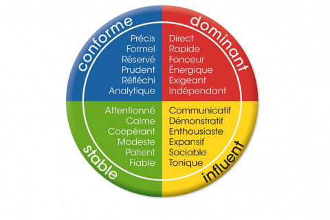 Dcouvrir son Style Comportemental avec l'Analyse DISC : Amliorer la Communication Interpersonnelle au Travail